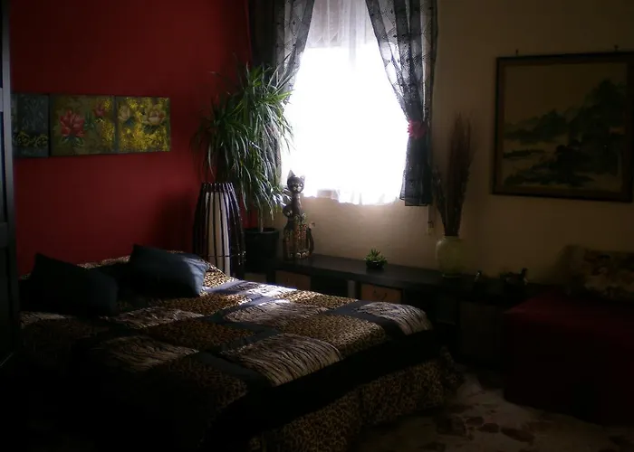 奥里宗住宿加早餐旅馆 3* 切法卢