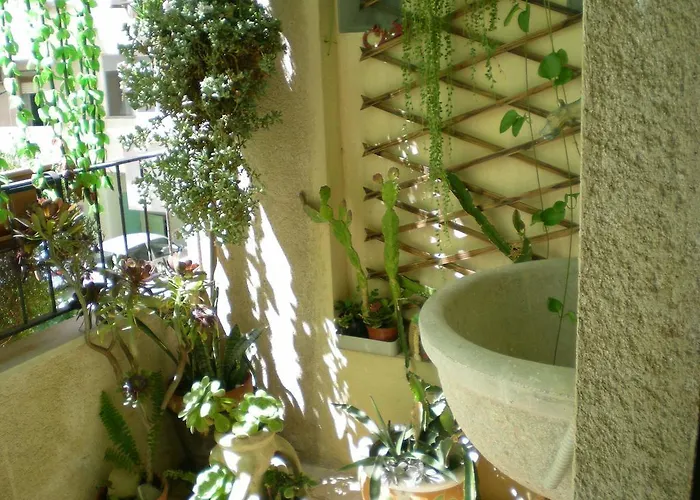 奥里宗住宿加早餐旅馆 3*