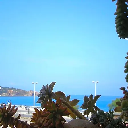 Orizzonte 3*
